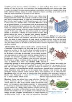 Konspekts 'Konspekts bioloģijā - 3.grāmata', 4.