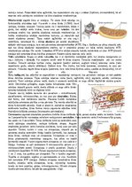 Konspekts 'Konspekts bioloģijā - 3.grāmata', 5.