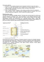 Konspekts 'Konspekts bioloģijā - 3.grāmata', 6.