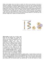 Konspekts 'Konspekts bioloģijā - 3.grāmata', 13.