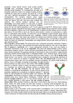 Konspekts 'Konspekts bioloģijā - 3.grāmata', 14.