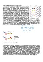 Konspekts 'Konspekts bioloģijā - 3.grāmata', 15.