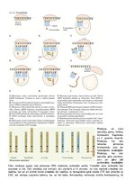 Konspekts 'Konspekts bioloģijā - 3.grāmata', 17.