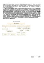 Konspekts 'Konspekts bioloģijā - 3.grāmata', 19.