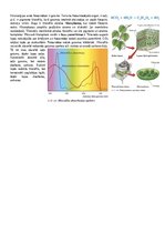 Konspekts 'Konspekts bioloģijā - 3.grāmata', 21.