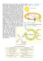 Konspekts 'Konspekts bioloģijā - 3.grāmata', 22.