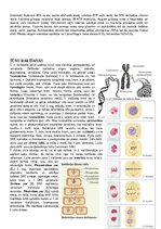Konspekts 'Konspekts bioloģijā - 3.grāmata', 24.
