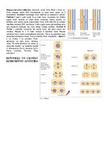 Konspekts 'Konspekts bioloģijā - 3.grāmata', 26.