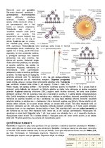 Konspekts 'Konspekts bioloģijā - 3.grāmata', 27.