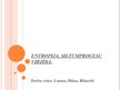 Prezentācija 'Entropija, siltumprocesu virzība', 1.