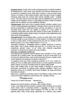 Konspekts 'Tiesību principu piemērošanas nosacījumi valsts pārvaldē - atbildes uz jautājumi', 6.