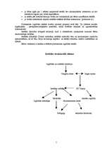 Prakses atskaite 'Prakses atskaite pedagoģijas bakalaura studiju programmā', 7.