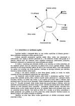 Prakses atskaite 'Prakses atskaite pedagoģijas bakalaura studiju programmā', 9.