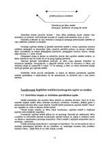 Prakses atskaite 'Prakses atskaite pedagoģijas bakalaura studiju programmā', 12.