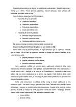 Referāts 'Personāla funkcijas ', 5.