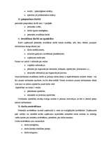 Referāts 'Personāla funkcijas ', 6.