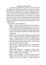 Referāts 'Vērtspapīru tirgus izveide Latvijā', 7.