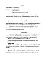 Referāts 'Atmiņa', 2.