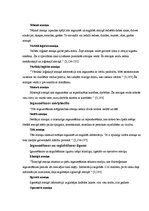 Referāts 'Atmiņa', 3.