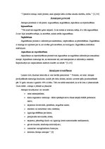 Referāts 'Atmiņa', 4.