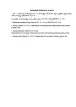 Referāts 'Atmiņa', 7.