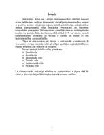 Referāts 'Tūrisma makrovide', 2.