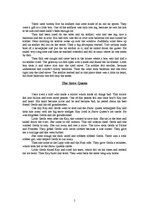 Referāts 'Report on Andersen Fairy Tales', 5.