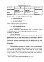 Diplomdarbs 'Latvijas Banka un tās loma Latvijas ekonomikas stabilizācijas procesā', 17.