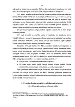 Diplomdarbs 'Latvijas Banka un tās loma Latvijas ekonomikas stabilizācijas procesā', 19.