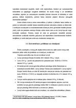 Diplomdarbs 'Latvijas Banka un tās loma Latvijas ekonomikas stabilizācijas procesā', 60.