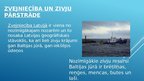 Prezentācija 'Baltijas jūra', 8.