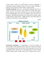 Referāts 'Pārtikas mazumtirdzniecības veikalu telpu iekārtojums', 6.