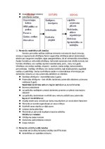 Konspekts 'Personāla vadība, menedžments', 6.