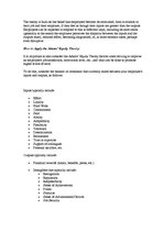 Referāts 'Motivation Theories', 4.