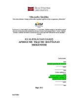 Referāts 'Apdegumu traumu iegūšanas mehānismi', 1.