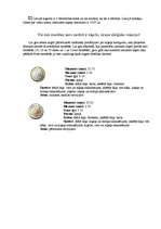 Referāts 'Niķelis', 4.