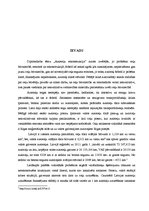 Diplomdarbs 'Autoceļa rekonstrukcija', 3.