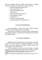 Diplomdarbs 'Autoceļa rekonstrukcija', 7.