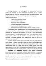 Diplomdarbs 'Autoceļa rekonstrukcija', 13.