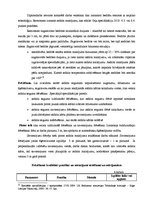 Diplomdarbs 'Autoceļa rekonstrukcija', 33.