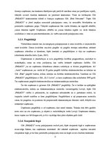 Prakses atskaite 'Prakses atskaite SIA "Farads"', 15.