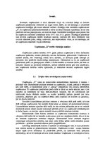 Referāts 'Stratēģiskais plāns uzņēmumam "X" no 2007. līdz 2012.gadam', 3.