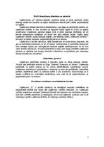 Referāts 'Stratēģiskais plāns uzņēmumam "X" no 2007. līdz 2012.gadam', 5.