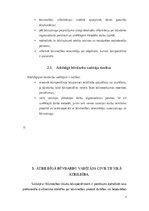 Referāts 'Atbildīgais būvdarbu vadītājs un viņa pienākumi (loma būvniecības procesā)', 7.