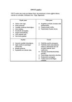 Paraugs 'SVID analīze', 2.