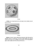 Diplomdarbs 'Eilera formula', 16.