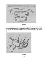 Diplomdarbs 'Eilera formula', 17.