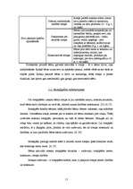 Referāts 'Rotaļspēles kā bērna sociālo prasmju attīstītājas', 12.