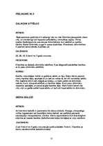 Referāts 'Rotaļspēles kā bērna sociālo prasmju attīstītājas', 33.