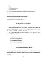 Referāts 'Tirgzinības plāns SIA "Latio"', 6.